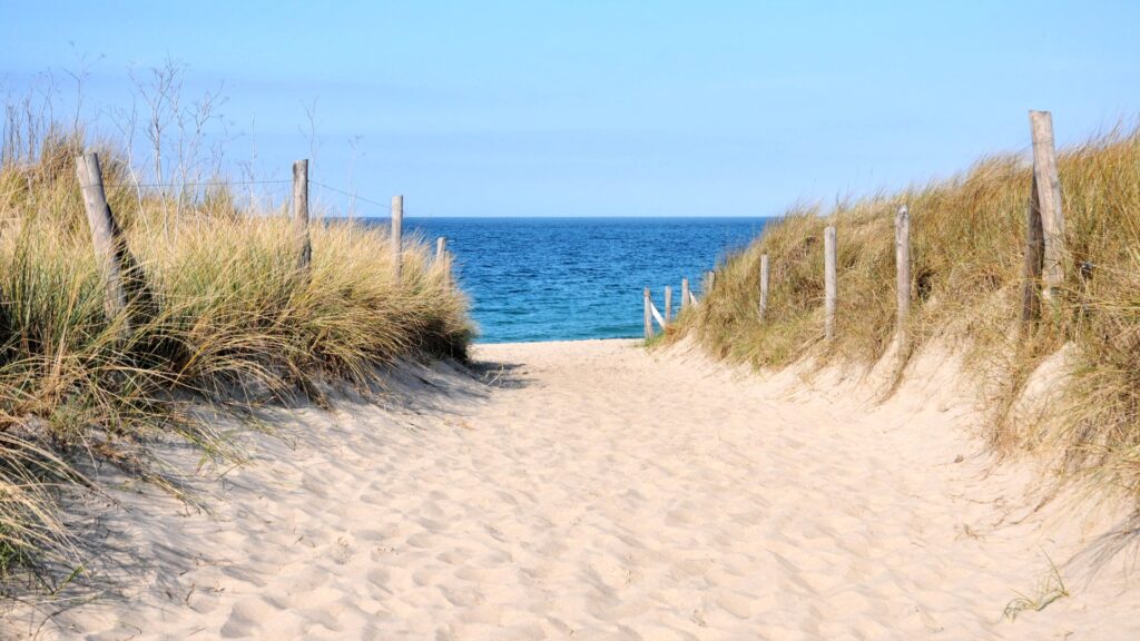 beach entrance on atlantic coast picture id1217015919